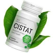 cistat-cistite