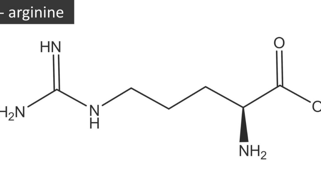struttura molecolare della l-arginina