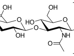 molecola acido ialuronico